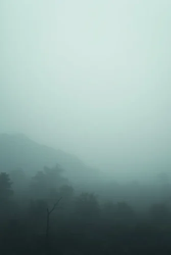 My mood is unpredictable, and my mind feels foggy. My mood is unpredictable, and my mind feels foggy.